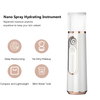 USB Facial Mister 
