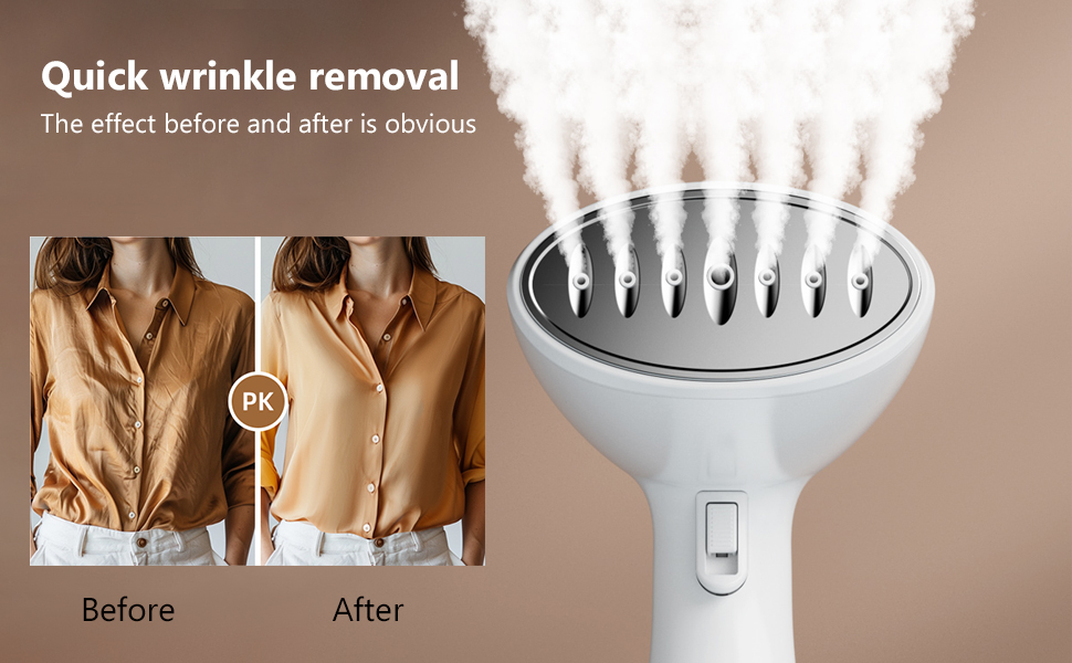 Electric Garment Steamer (3)