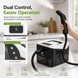 Portable steam cleaner