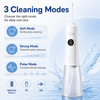 300ml Water Tank Flosser