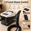 Handheld steam cleaner